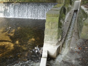 River Brun Fish Pass Improvements